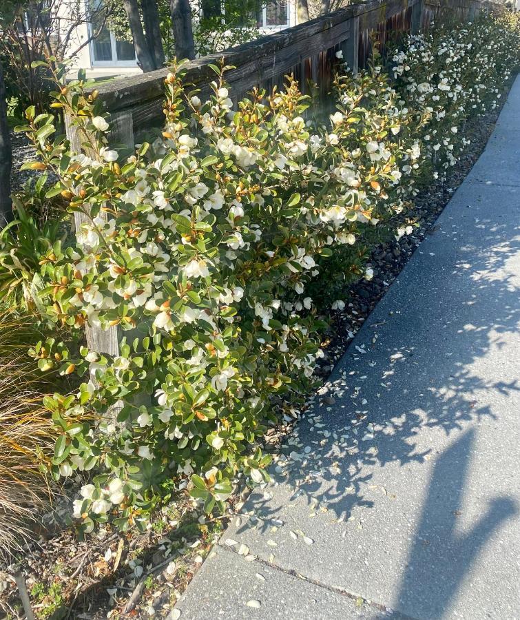 Joan'S @ 21 Apartment Wanaka Exterior foto